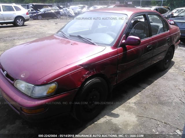 2T1BB02E5TC163667 - 1996 TOYOTA COROLLA DX RED photo 6