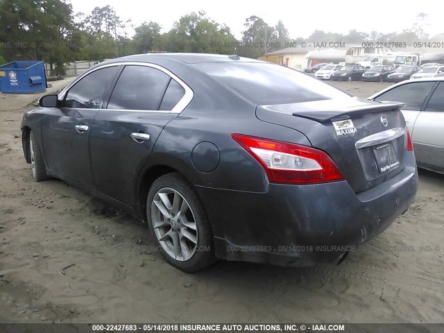 1N4AA5AP3AC870583 - 2010 NISSAN MAXIMA S/SV GRAY photo 3