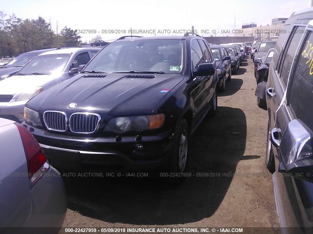 5UXFB33593LH50501 - 2003 BMW X5 4.4I BLACK photo 2