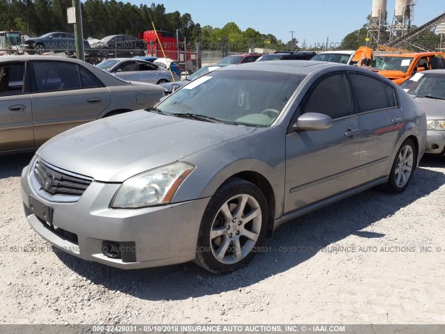 1N4BA41E08C838956 - 2008 NISSAN MAXIMA SE/SL GRAY photo 2