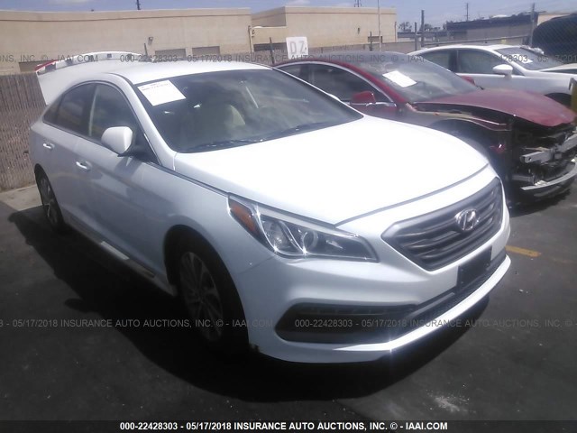 5NPE34AF0FH098711 - 2015 HYUNDAI SONATA SPORT/LIMITED WHITE photo 1