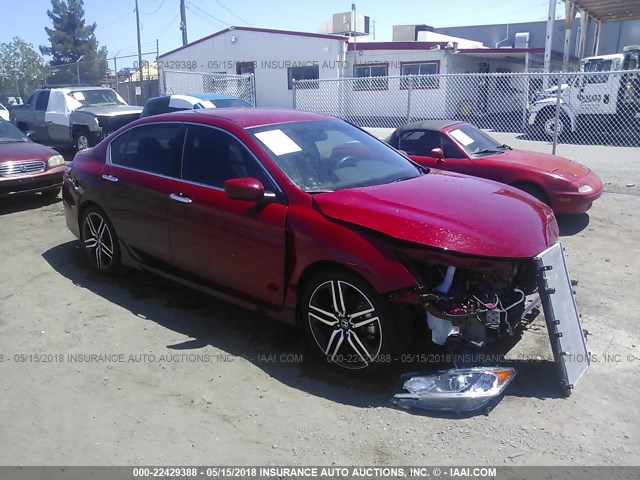 1HGCR2F52GA039020 - 2016 HONDA ACCORD SPORT წითელი ფოტო 1