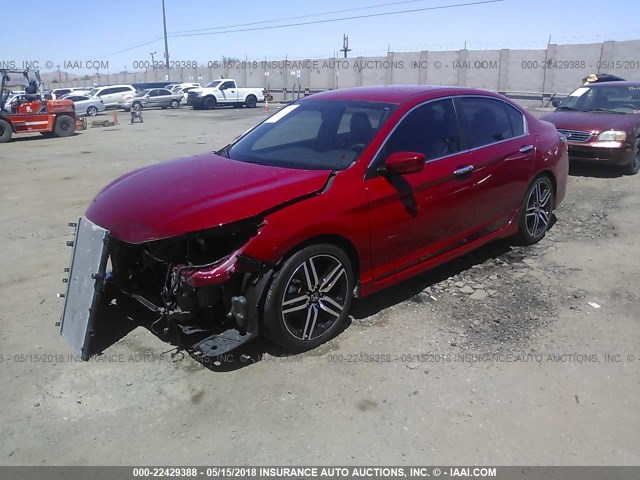 1HGCR2F52GA039020 - 2016 HONDA ACCORD SPORT წითელი ფოტო 2