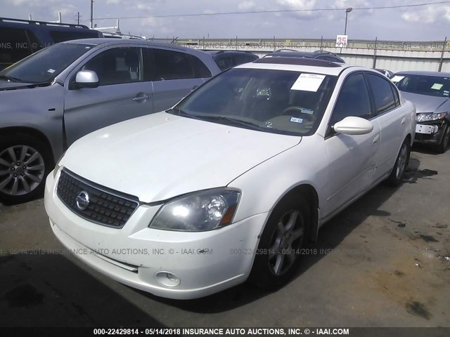 1N4AL11D06C251908 - 2006 NISSAN ALTIMA S/SL WHITE photo 2