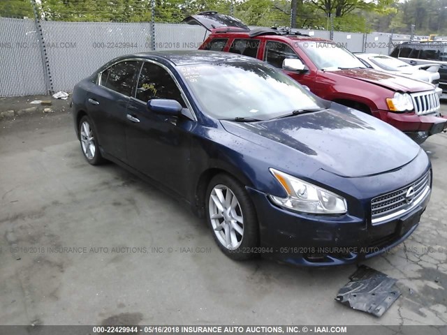 1N4AA51E49C855455 - 2009 NISSAN MAXIMA S/SV BLUE photo 1