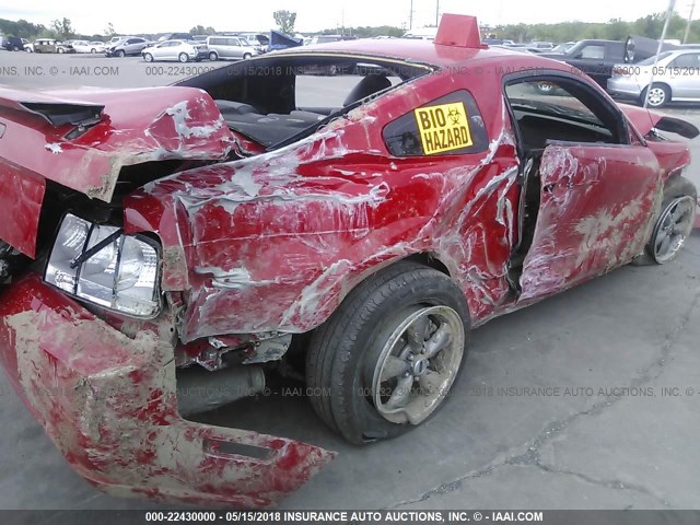 1ZVFT82H155136194 - 2005 FORD MUSTANG GT RED photo 6