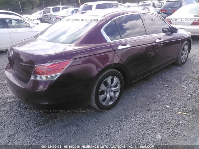 1HGCP26878A147067 - 2008 HONDA ACCORD EXL BURGUNDY photo 4