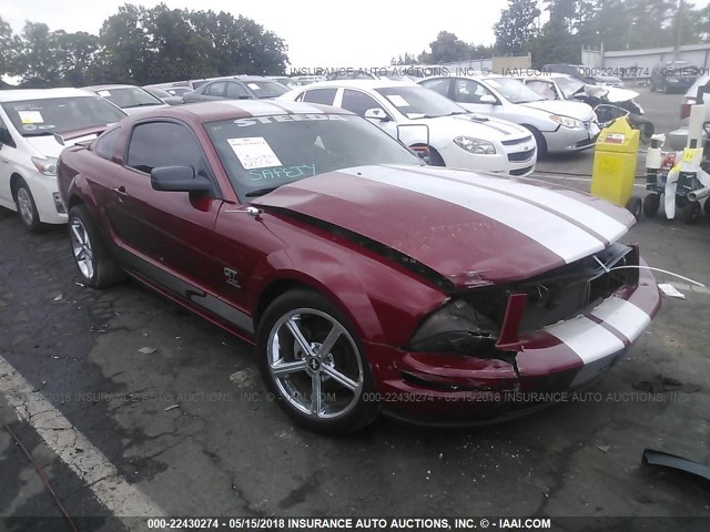 1ZVHT82H785145074 - 2008 FORD MUSTANG GT RED photo 1