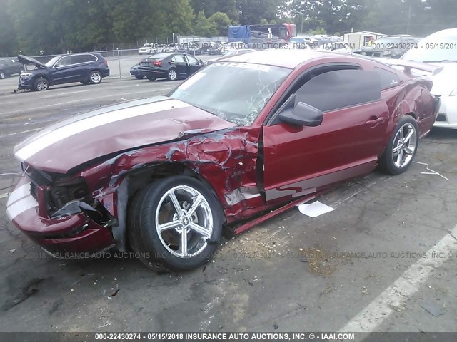 1ZVHT82H785145074 - 2008 FORD MUSTANG GT RED photo 2