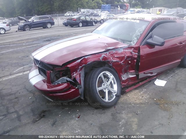 1ZVHT82H785145074 - 2008 FORD MUSTANG GT RED photo 6