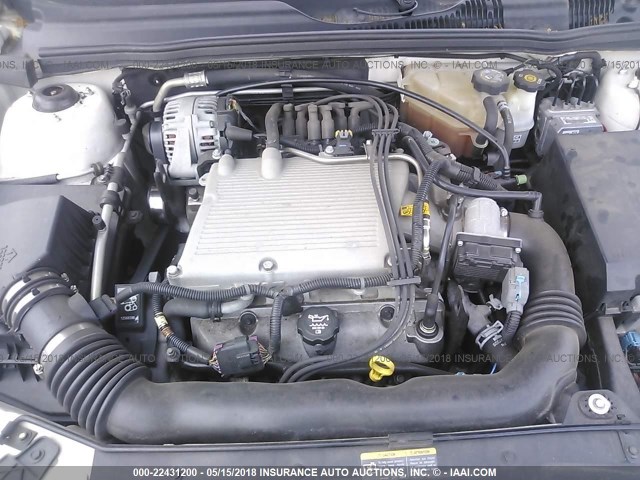 1G1ZT54814F223977 - 2004 CHEVROLET MALIBU LS 白色 照片 10