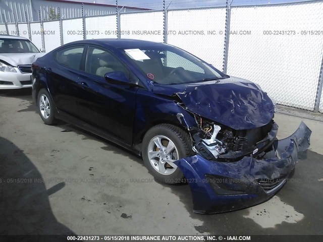 5NPDH4AE9EH489844 - 2014 HYUNDAI ELANTRA SE/SPORT/LIMITED BLUE photo 1