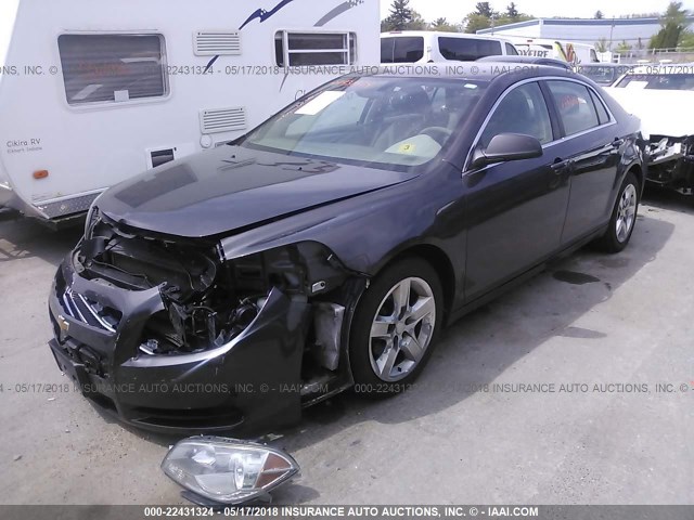 1G1ZB5EB9AF307988 - 2010 CHEVROLET MALIBU LS GRAY photo 2