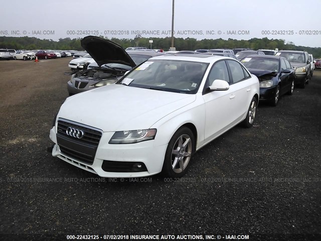 WAULF78K79N038140 - 2009 AUDI A4 2.0T QUATTRO WHITE photo 2