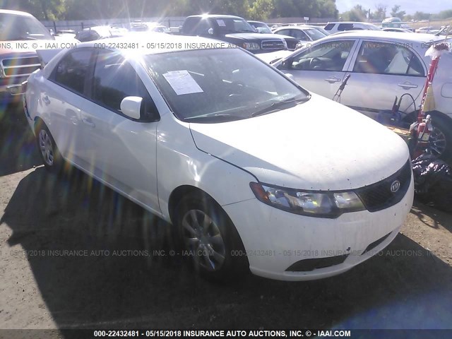 KNAFT4A23A5053415 - 2010 KIA FORTE LX WHITE photo 1