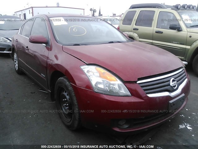 1N4CL21E29C188404 - 2009 NISSAN ALTIMA HYBRID RED photo 1