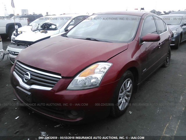 1N4CL21E29C188404 - 2009 NISSAN ALTIMA HYBRID RED photo 2