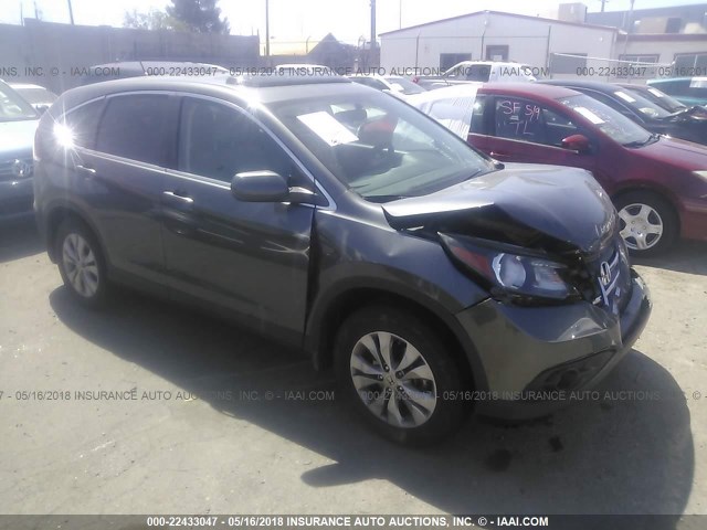 2HKRM3H51DH509276 - 2013 HONDA CR-V EX GRAY photo 1