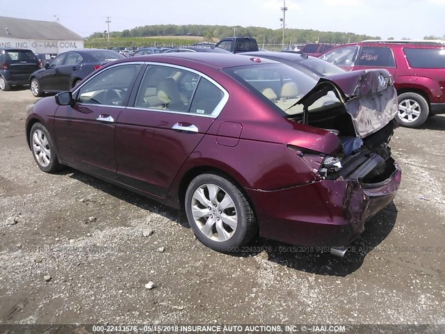 1HGCP368X9A041476 - 2009 HONDA ACCORD EXL MAROON photo 3