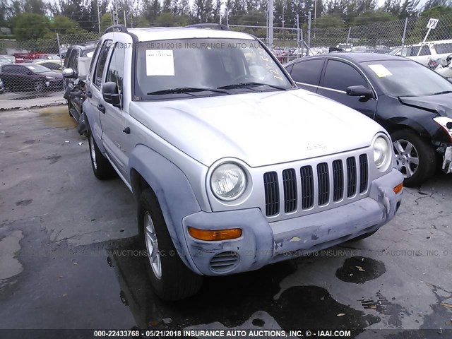 1J4GK48KX2W220570 - 2002 JEEP LIBERTY SPORT SILVER photo 6