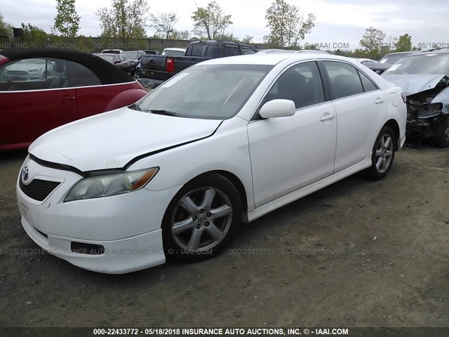 4T1BE46K29U849347 - 2009 TOYOTA CAMRY SE/LE/XLE WHITE photo 2