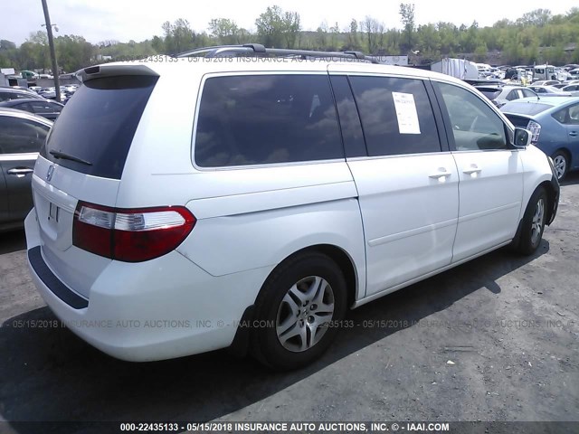 5FNRL387X6B452419 - 2006 HONDA ODYSSEY EXL თეთრი ფოტო 4