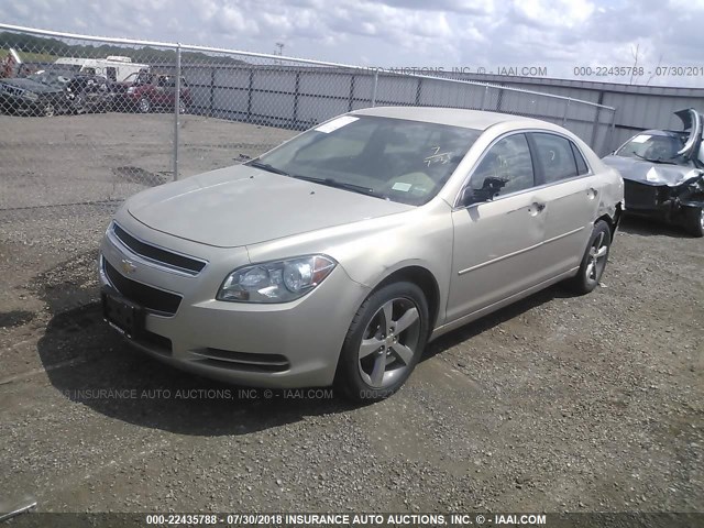 1G1ZC5E13BF108991 - 2011 CHEVROLET MALIBU 1LT 棕色 照片 2