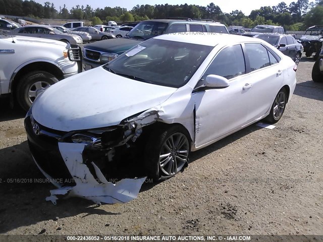 4T1BF1FK5HU750595 - 2017 TOYOTA CAMRY LE/XLE/SE/XSE WHITE photo 2