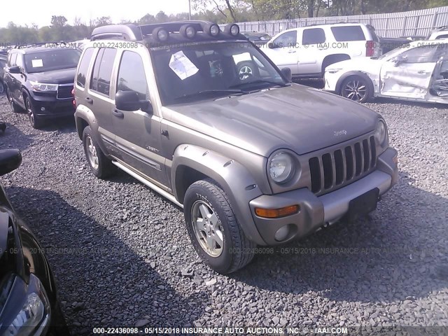 1J4GL38K34W312565 - 2004 JEEP LIBERTY RENEGADE Champagne photo 1