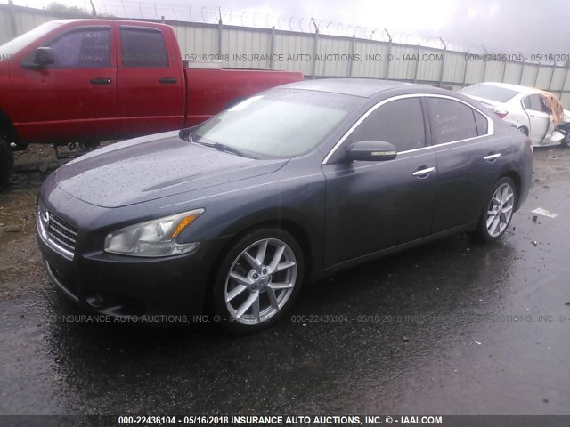 1N4AA51E99C808681 - 2009 NISSAN MAXIMA S/SV GRAY photo 2