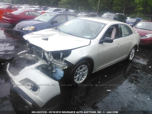 1G11A5SA7DF314552 - 2013 CHEVROLET MALIBU LS ბეჟი ფოტო 2
