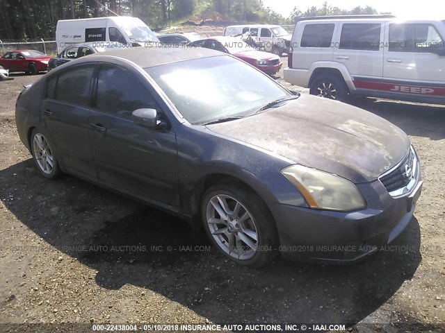 1N4BA41E07C842262 - 2007 NISSAN MAXIMA SE/SL GRAY photo 1