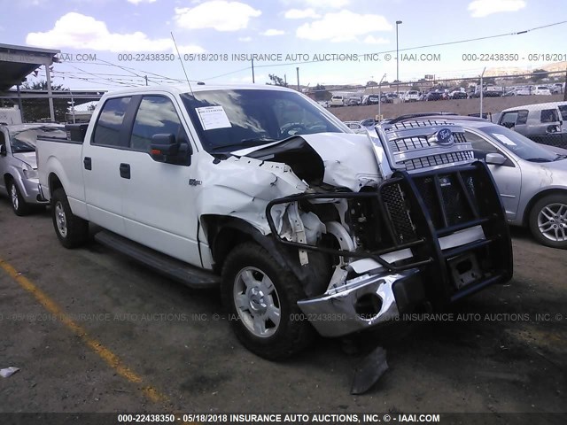 1FTFW1EF3EKD41657 - 2014 FORD F150 SUPERCREW WHITE photo 1