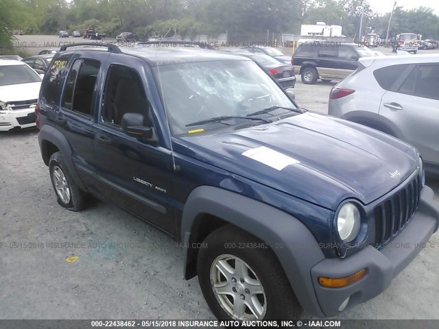 1J4GL48K93W724378 - 2003 JEEP LIBERTY SPORT/FREEDOM ლურჯი ფოტო 6