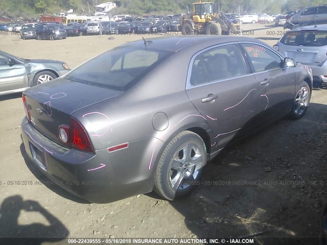 1G1ZB5EB9AF295678 - 2010 CHEVROLET MALIBU LS 金色 照片 4