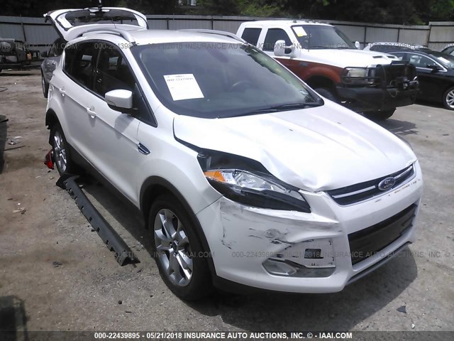 1FMCU0J94EUD93978 - 2014 FORD ESCAPE TITANIUM WHITE photo 1