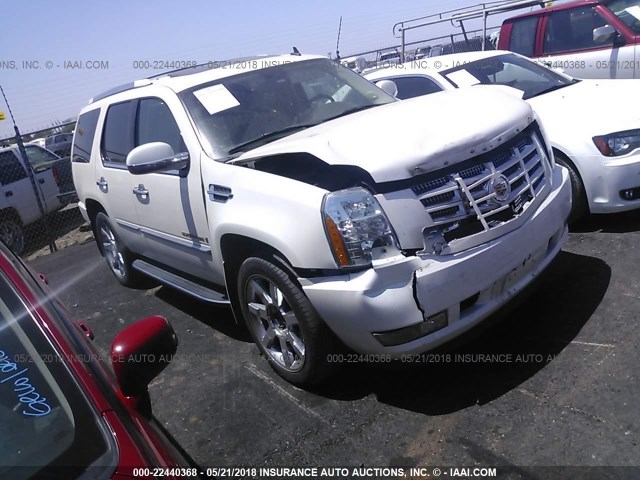 1GYFK63857R141350 - 2007 CADILLAC ESCALADE LUXURY თეთრი ფოტო 1