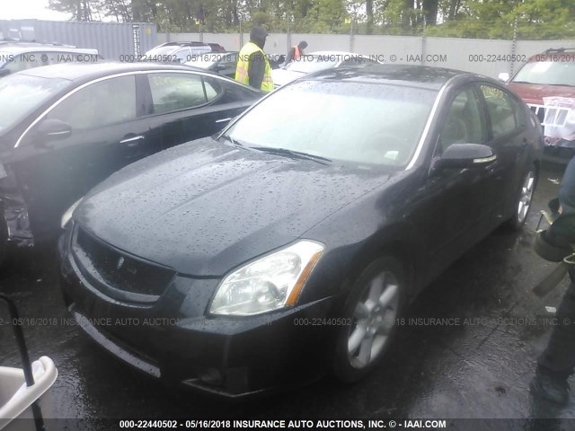 1N4BA41E24C810652 - 2004 NISSAN MAXIMA SE/SL BLACK photo 2