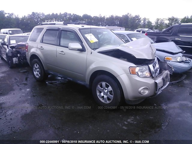 1FMCU9EG7AKC60084 - 2010 FORD ESCAPE LIMITED GOLD photo 1