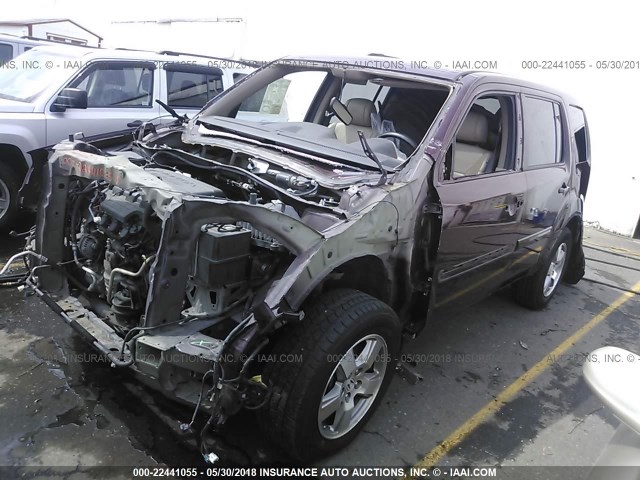 5FNYF3H74BB027159 - 2011 HONDA PILOT EXLN BURGUNDY photo 2