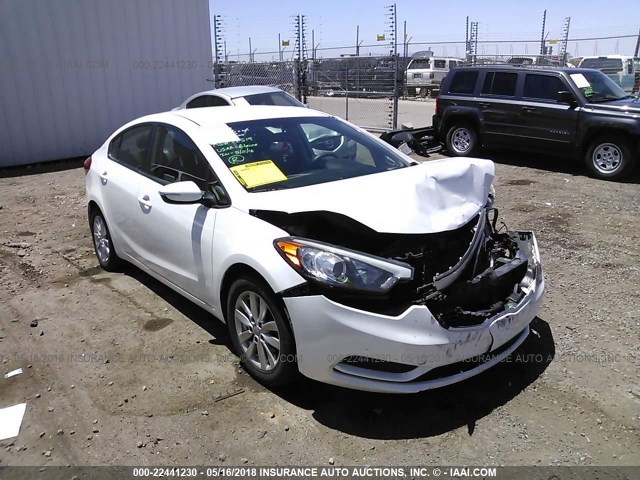 KNAFX4A62E5159724 - 2014 KIA FORTE LX WHITE photo 1