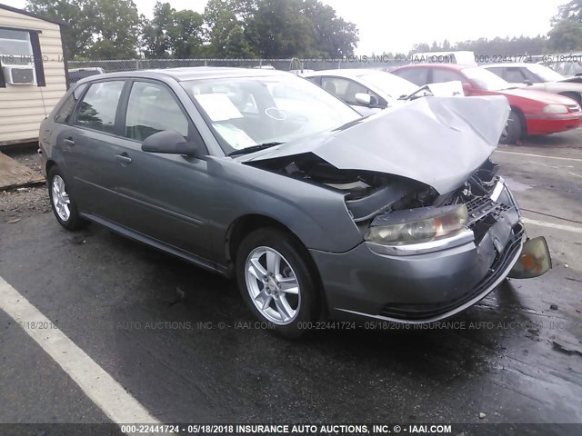 1G1ZT64864F221339 - 2004 CHEVROLET MALIBU MAXX LS 灰色 照片 1