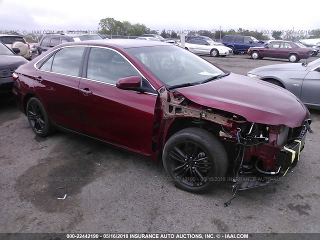 4T1BF1FK1GU596546 - 2016 TOYOTA CAMRY LE/XLE/SE/XSE წითელი ფოტო 1