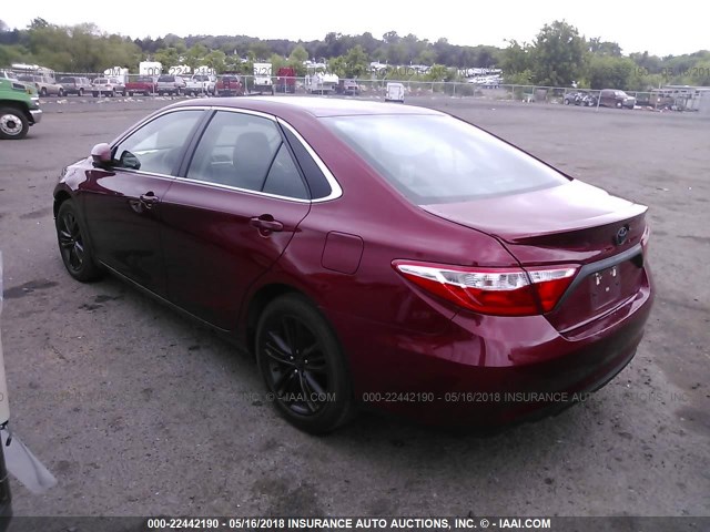 4T1BF1FK1GU596546 - 2016 TOYOTA CAMRY LE/XLE/SE/XSE წითელი ფოტო 3