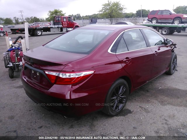 4T1BF1FK1GU596546 - 2016 TOYOTA CAMRY LE/XLE/SE/XSE წითელი ფოტო 4