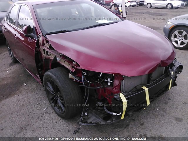 4T1BF1FK1GU596546 - 2016 TOYOTA CAMRY LE/XLE/SE/XSE წითელი ფოტო 6