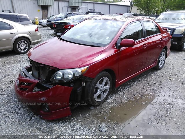 2T1BU4EE9CC874124 - 2012 TOYOTA COROLLA S/LE RED photo 2