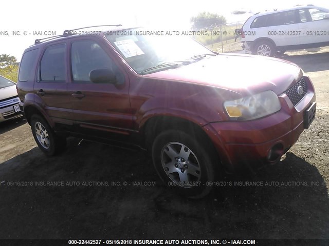 1FMYU041X5KB30238 - 2005 FORD ESCAPE LIMITED MAROON photo 1