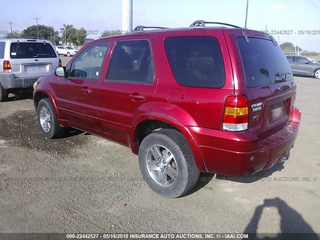 1FMYU041X5KB30238 - 2005 FORD ESCAPE LIMITED MAROON photo 3