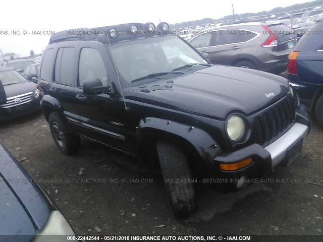 1J4GL38K84W217175 - 2004 JEEP LIBERTY RENEGADE BLACK photo 1